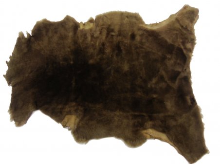 Pelli intere Shearling Miste