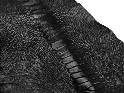 Zampe di Struzzo Pelle Esotica Zampe di Struzzo Pelle Esotica
