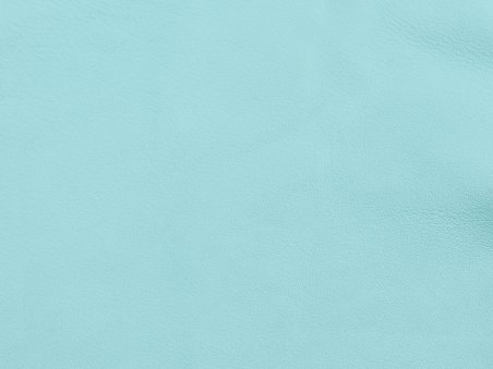 Luxury Aniline Soft Calfskin